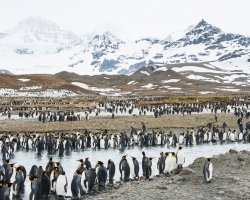 Exploring Penguin Habitats